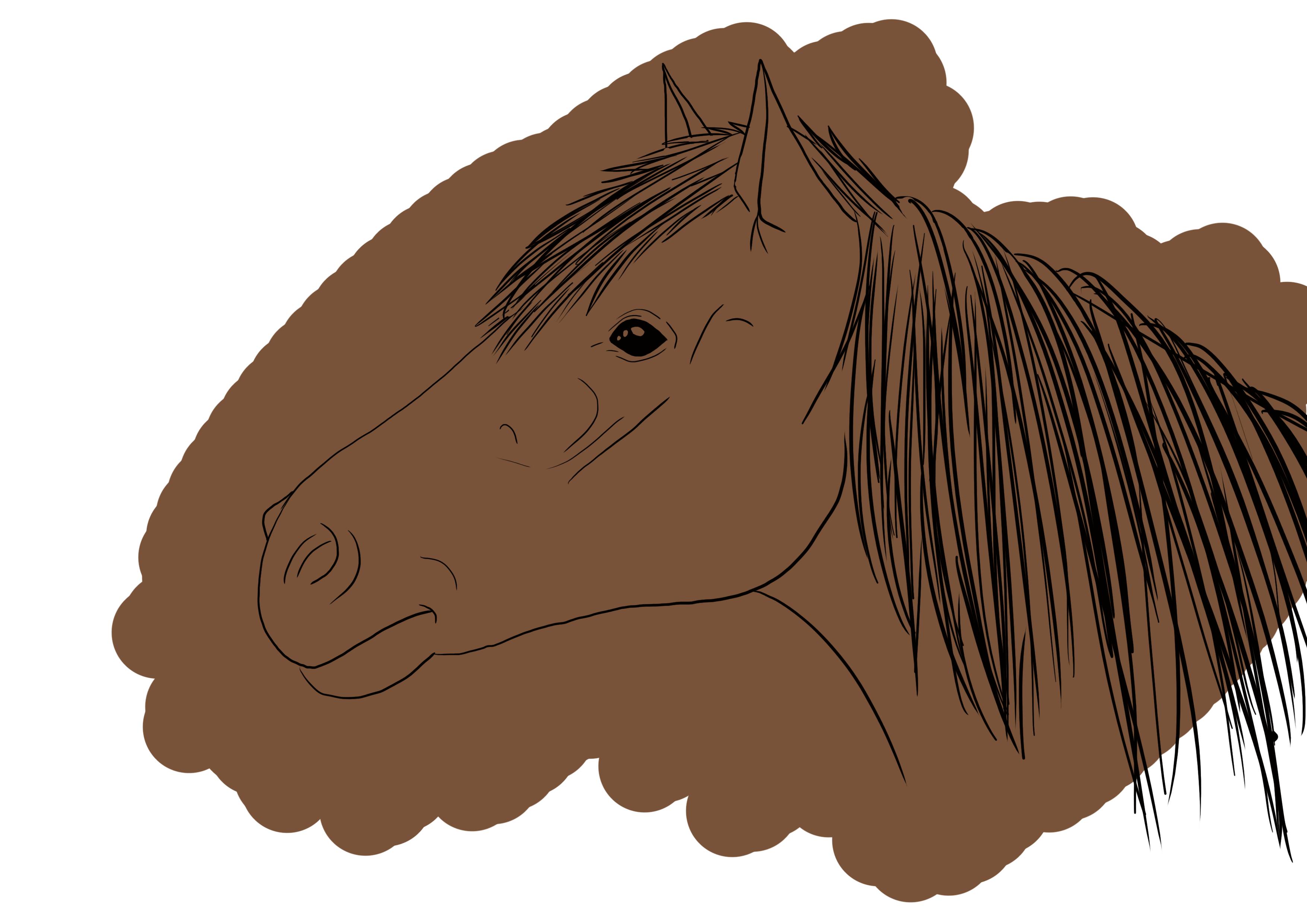 colorear la cabeza de caballo