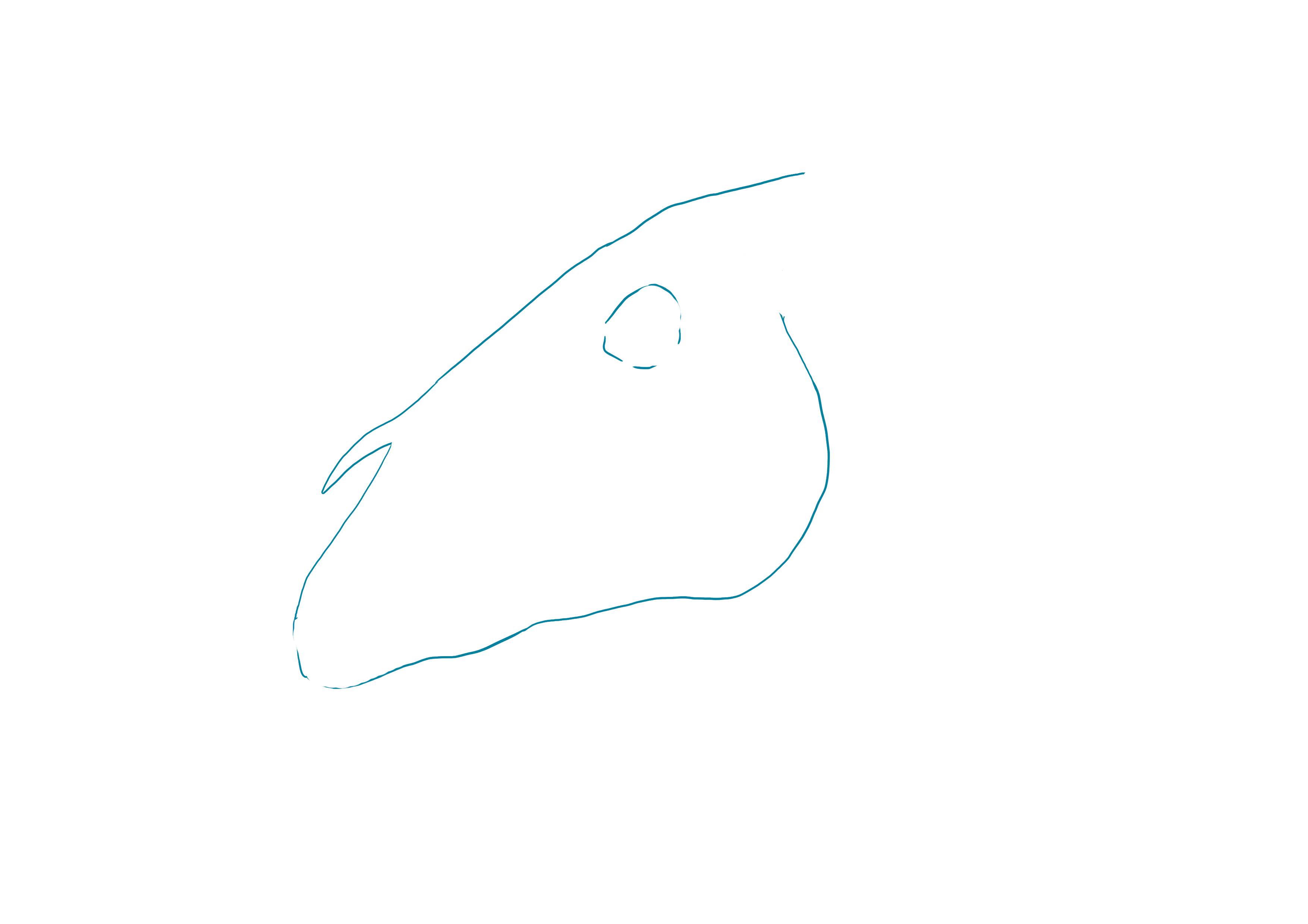 dibujar el cráneo de caballo