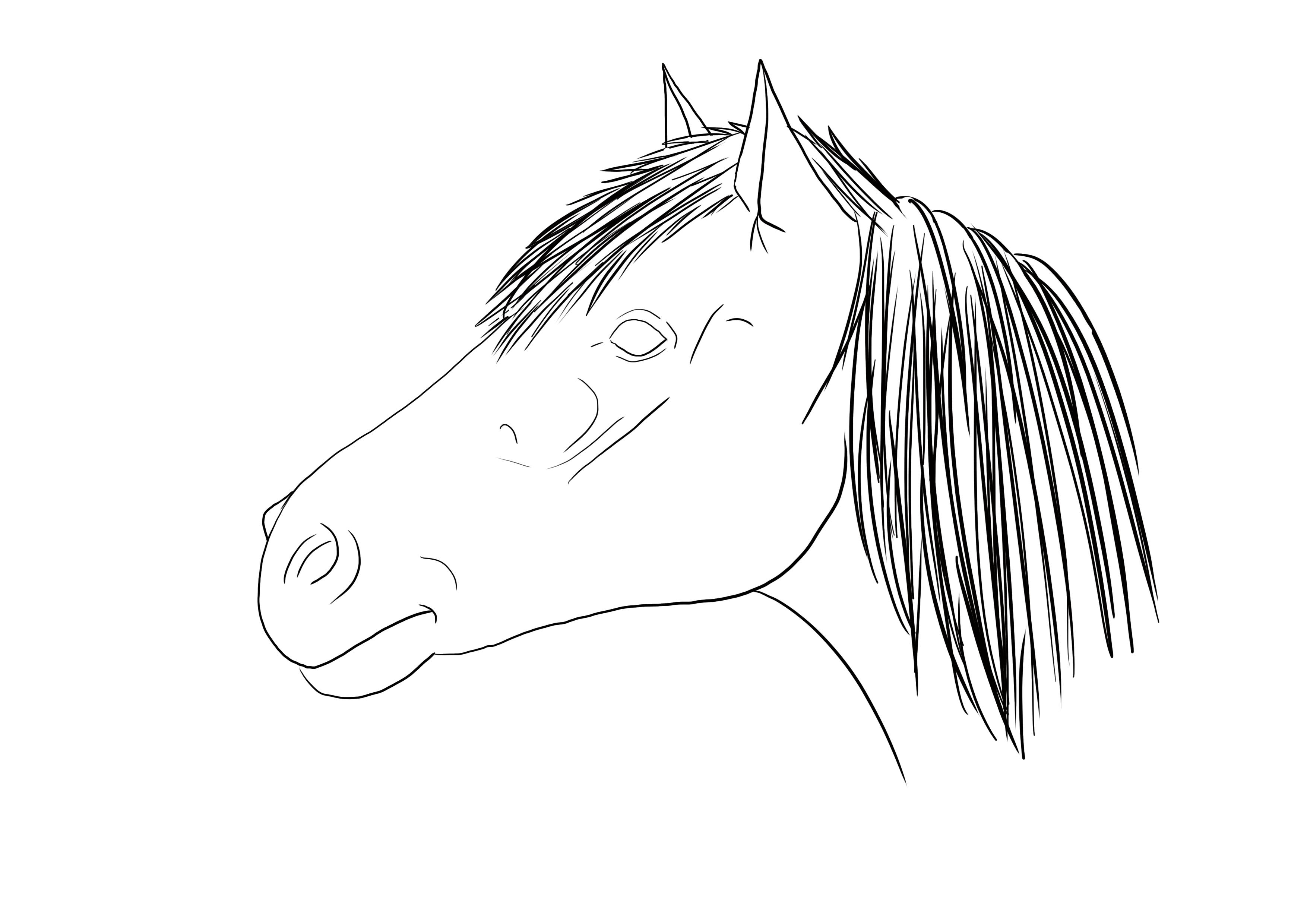 dibujar los pelos de la melena