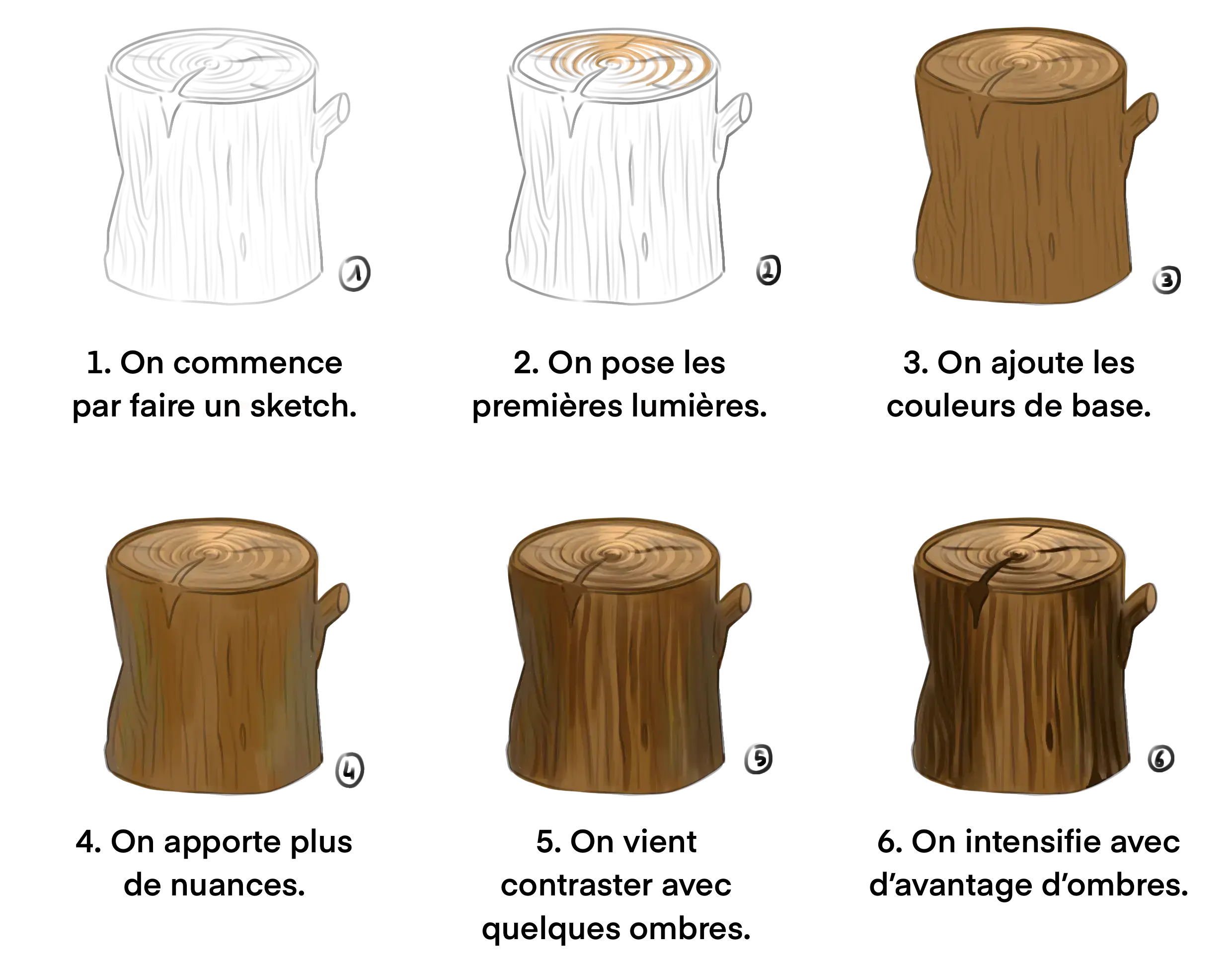 dessiner la texture d’un rondin de bois