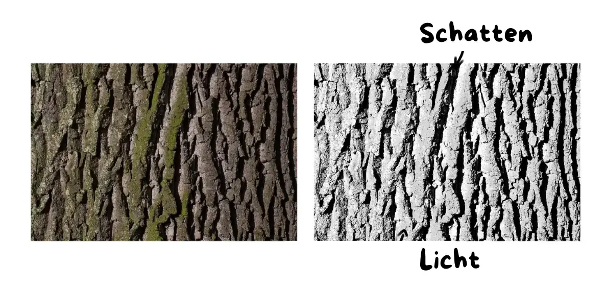Schatten und Licht eines Baumbildes, um seine Textur zu verstehen