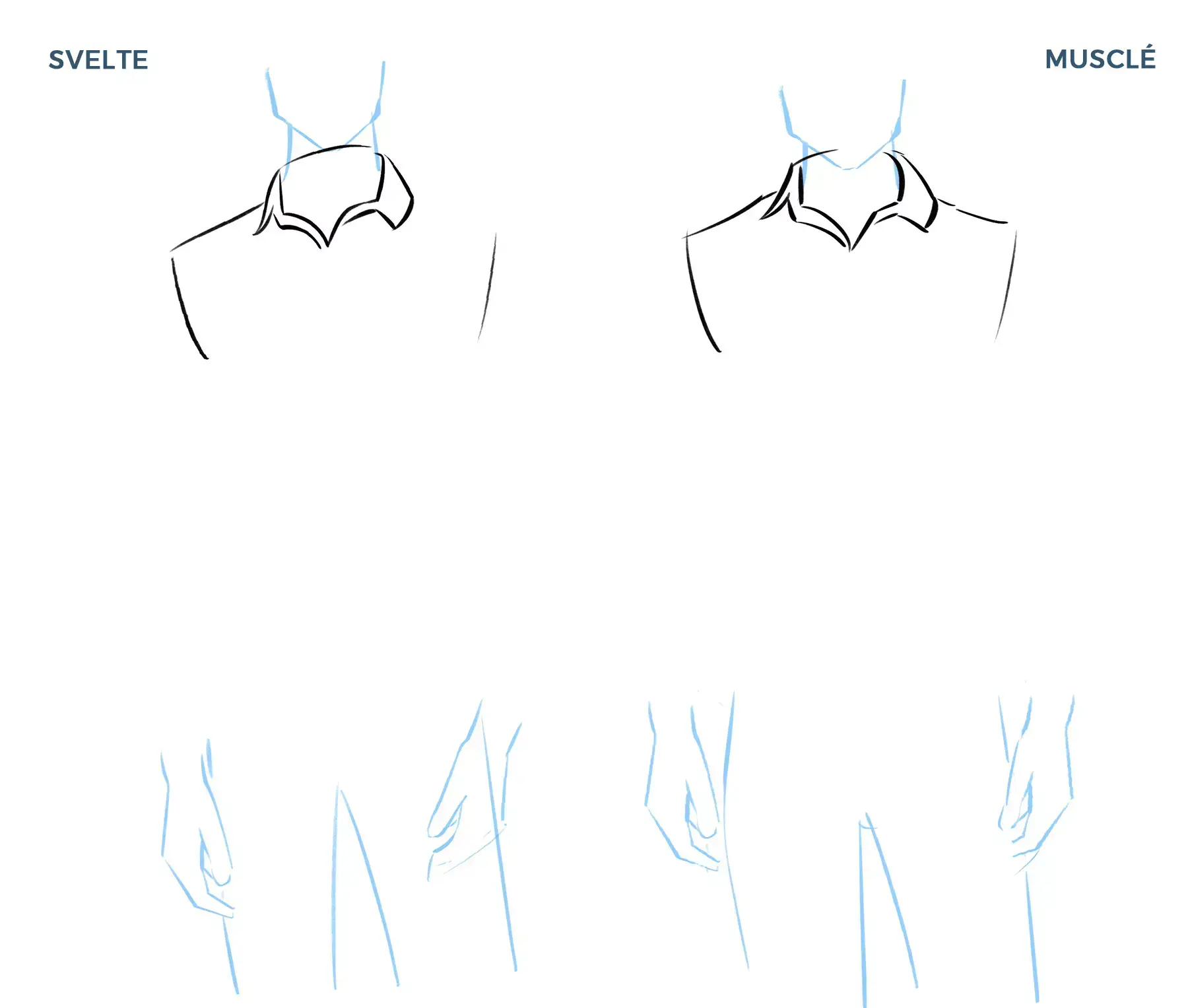 drawing of a shirt collar