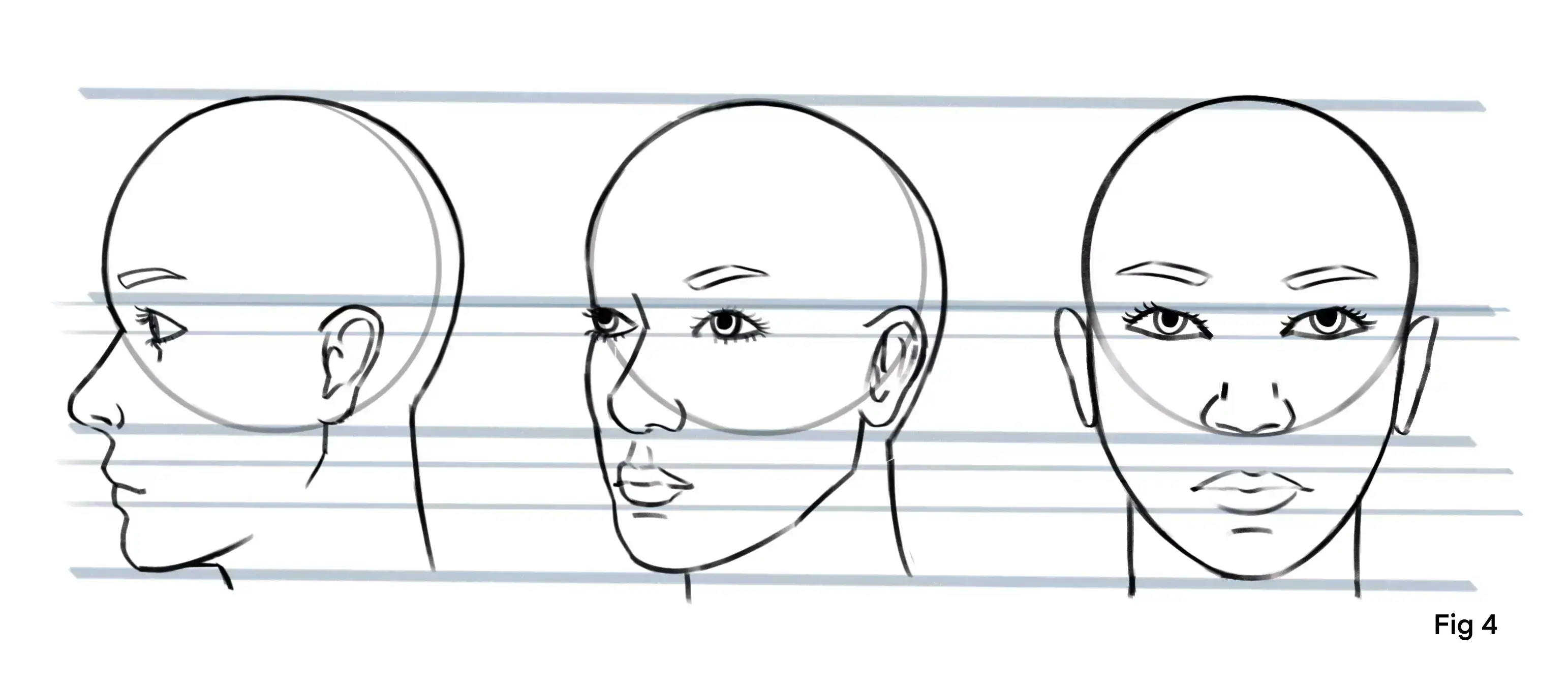 guidelines of a face in different angles