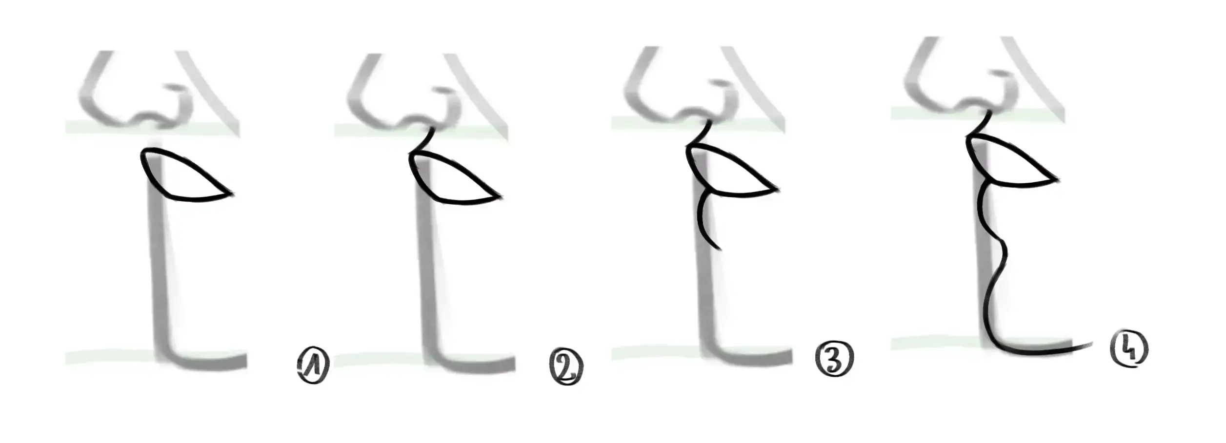 drawing of the mouth on a face in profile