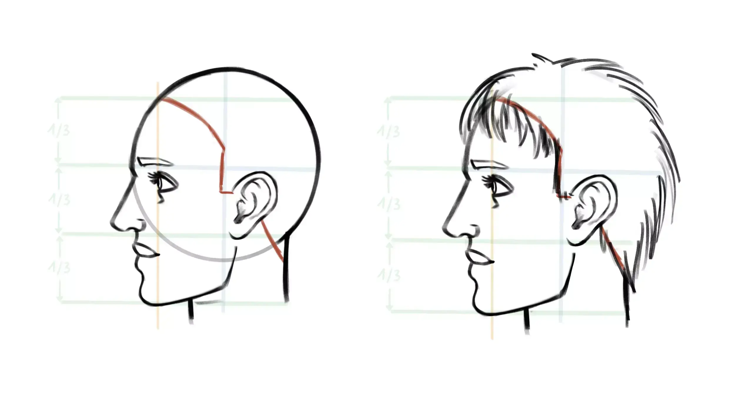 drawing hair on a face in profile 