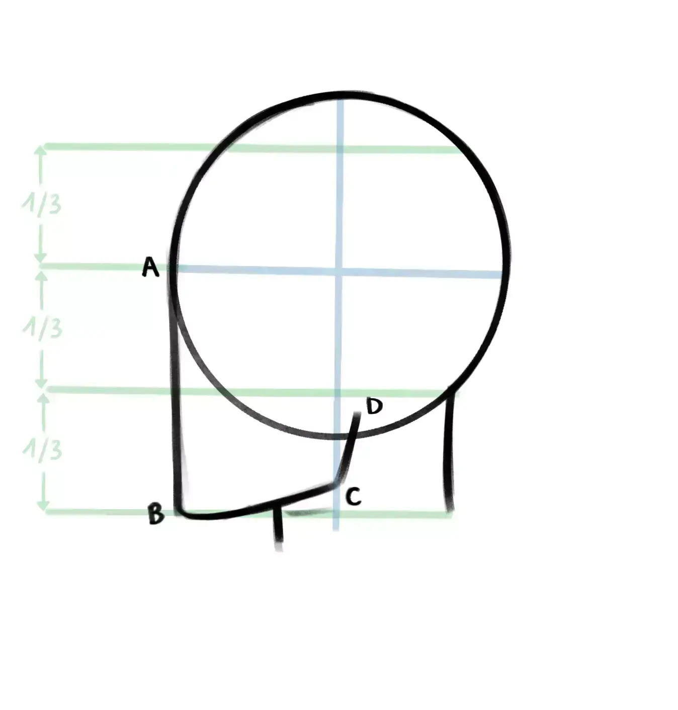 drawing of the shape of a profile face