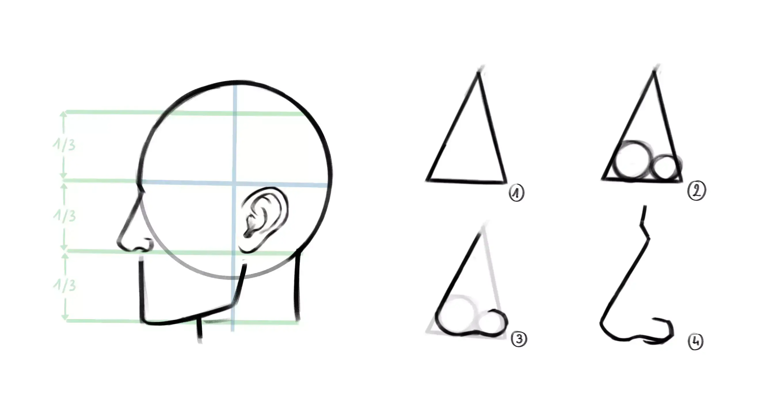 drawing of a nose on a face in profile