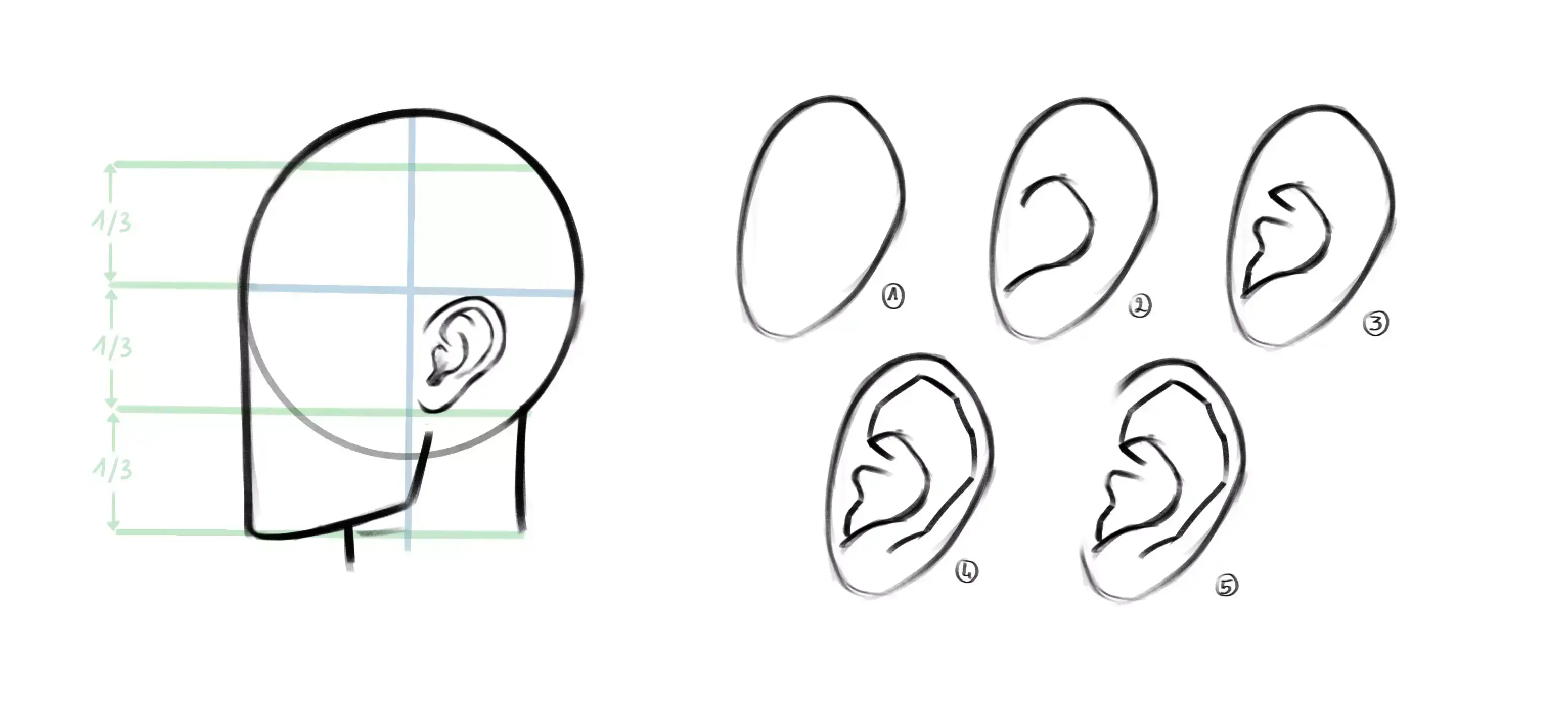 how to draw an ear on a face in profile