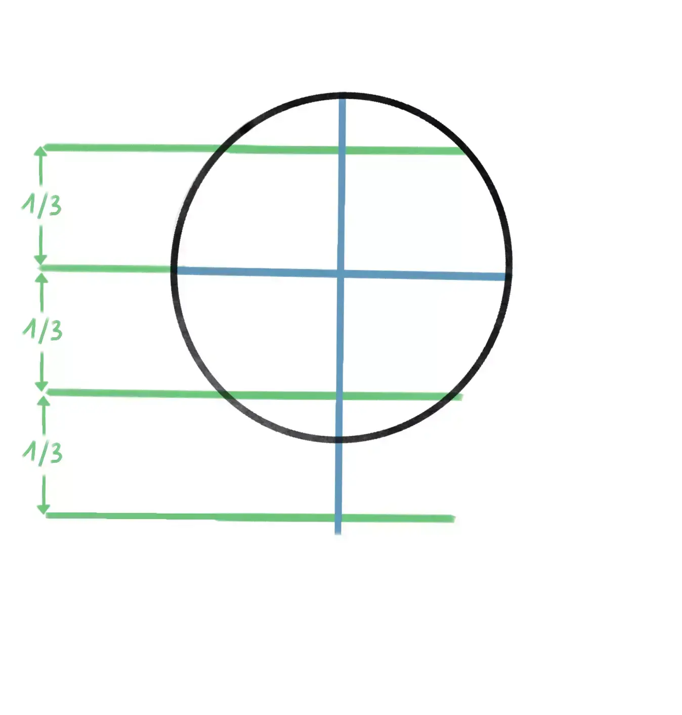 guidelines for the proportions of a face in profile