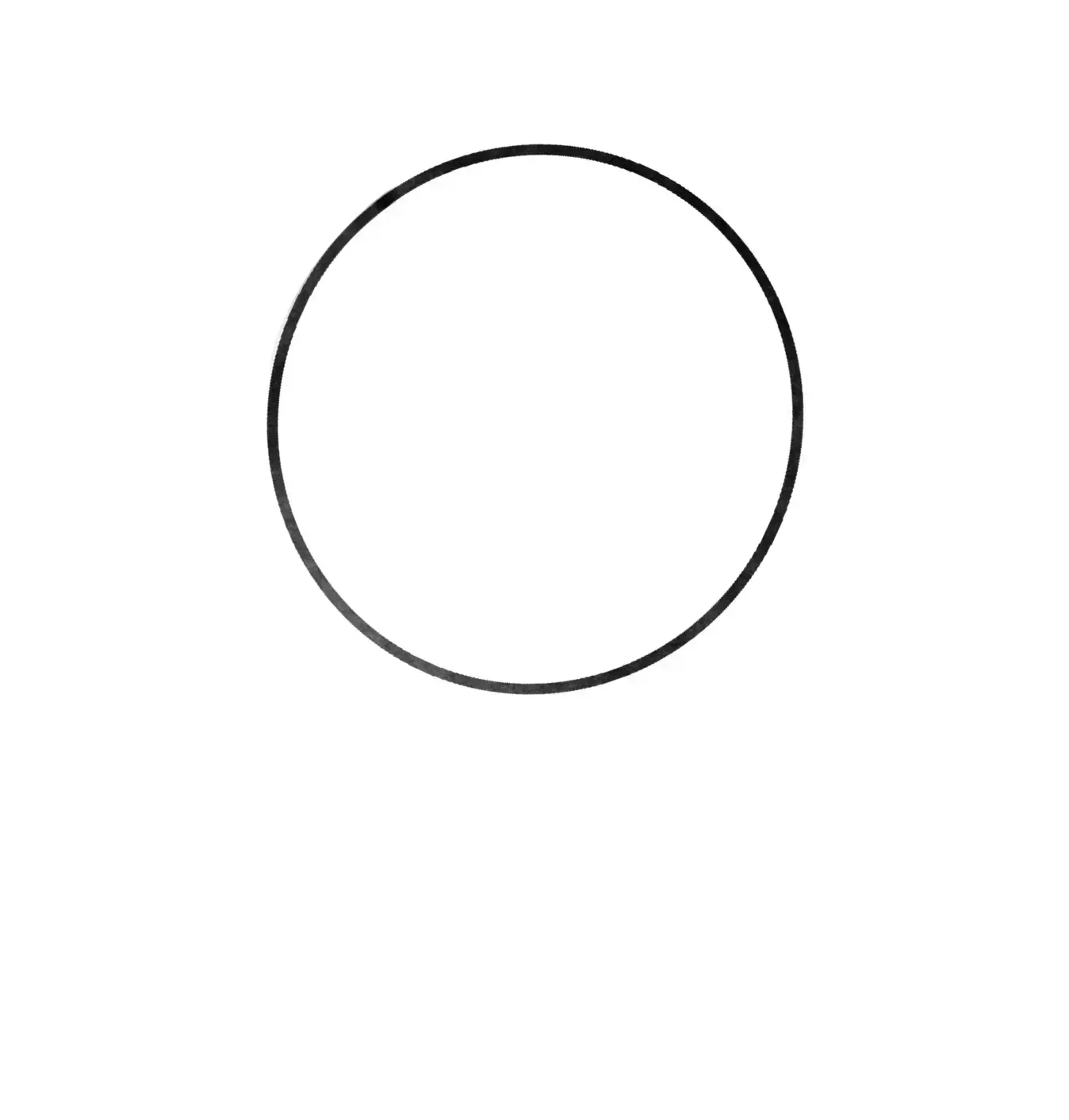 drawing of the profile structure of a face