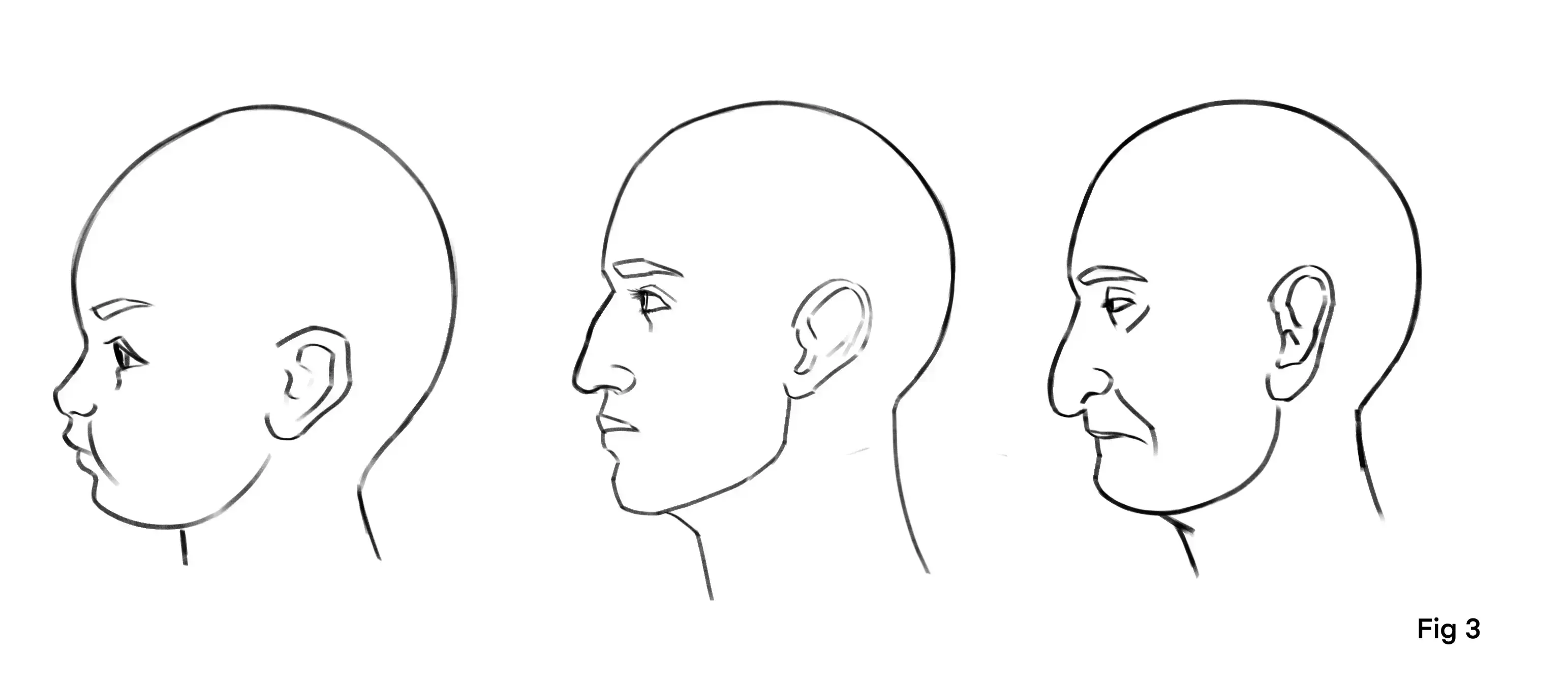 Drawing of an aging face