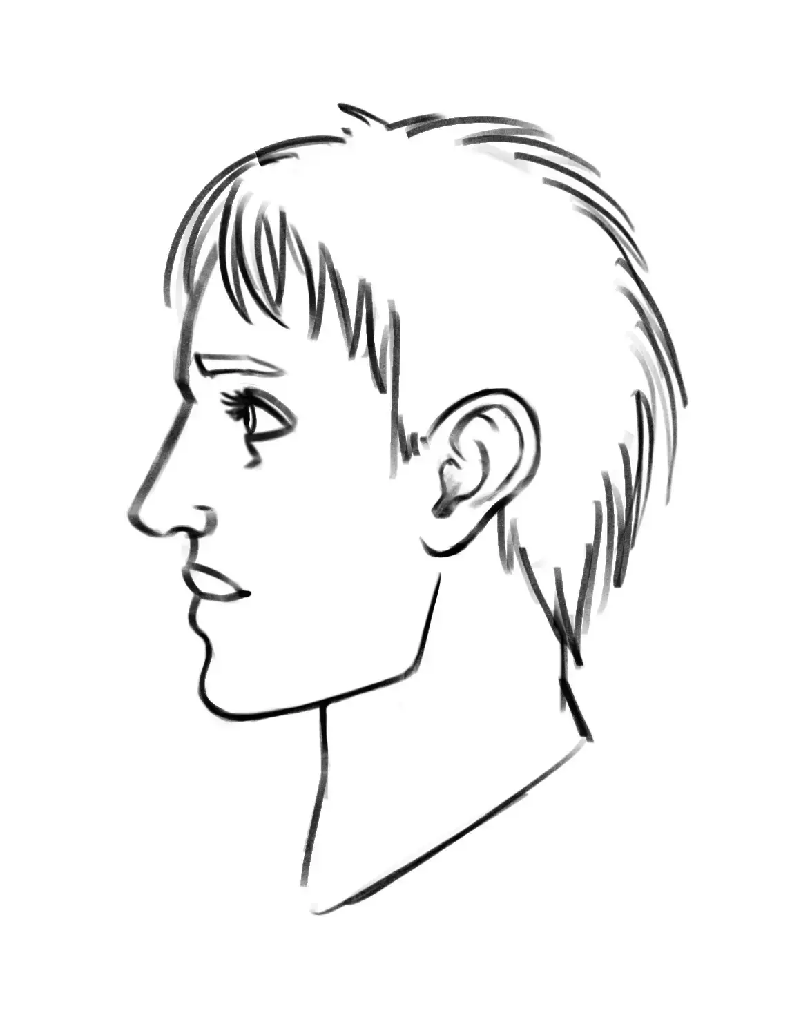 Final drawing of a face in profile