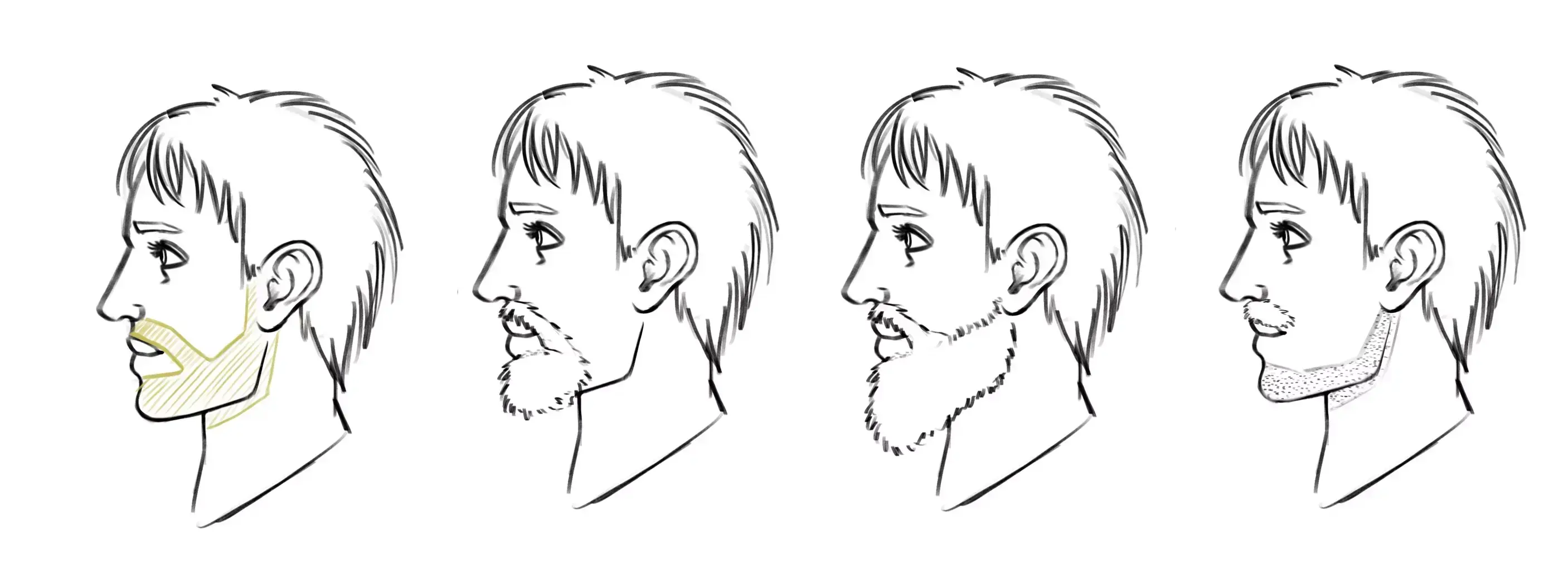 examples of beard drawings