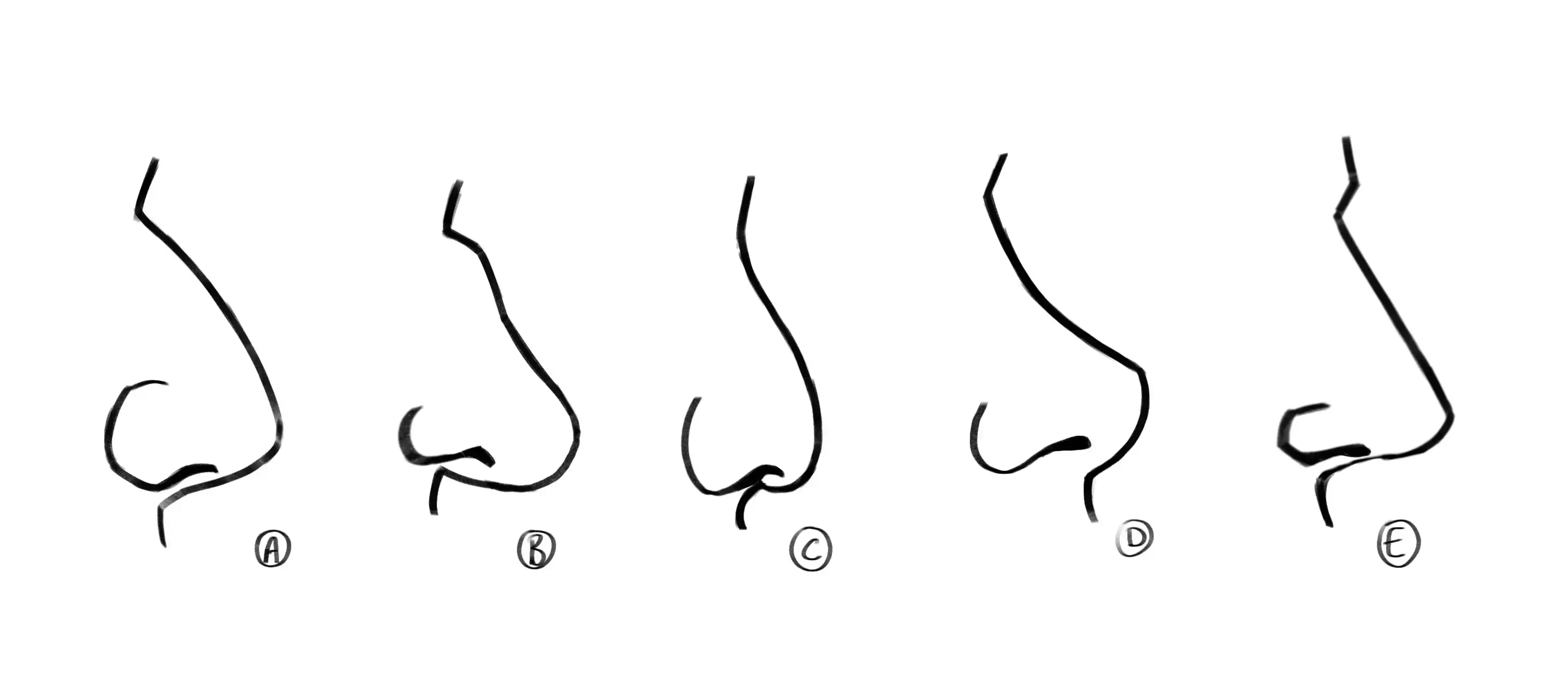 different shapes of nose in profile