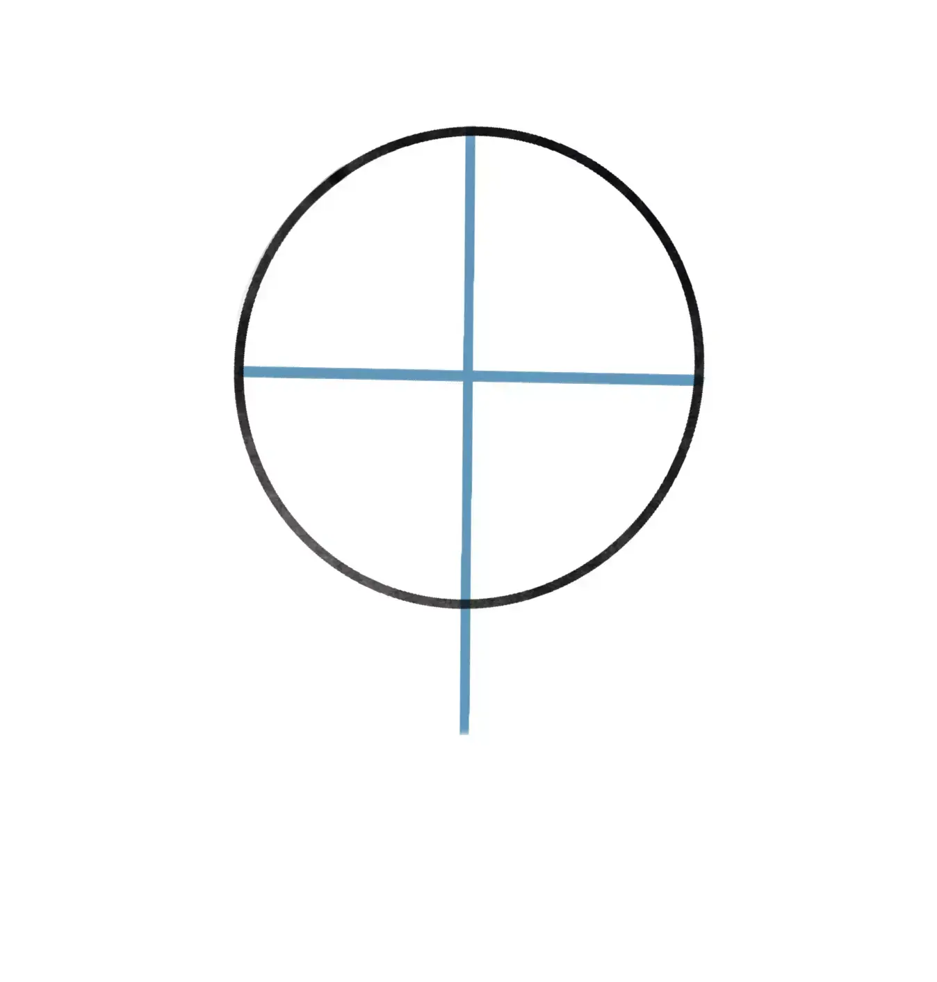 basic lines for the structure of a face in profile