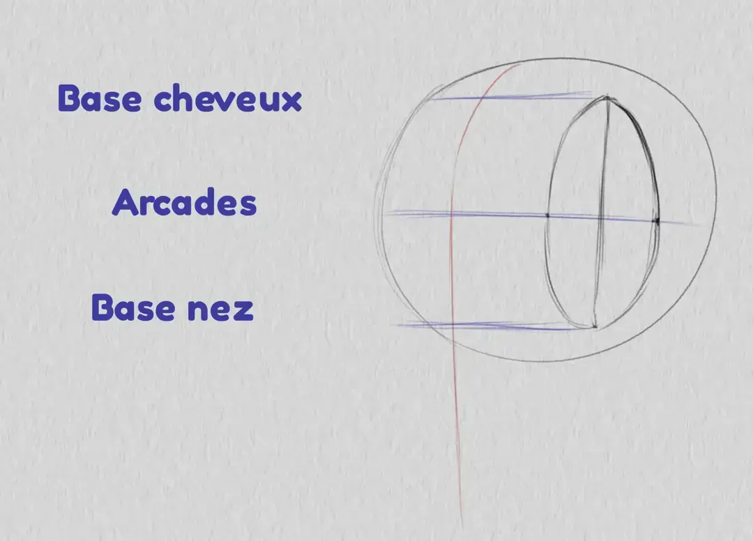 dessiner la base des cheveux d’un visage de trois quarts
