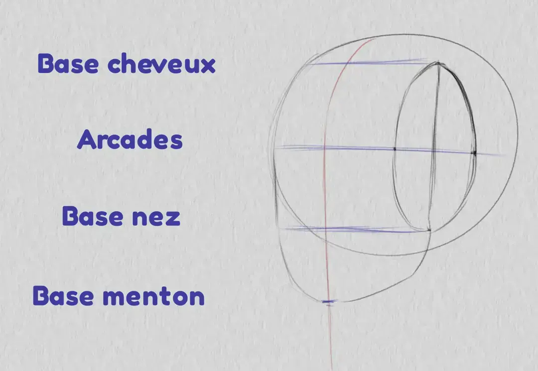 dessiner la base du menton d’un visage de trois quarts