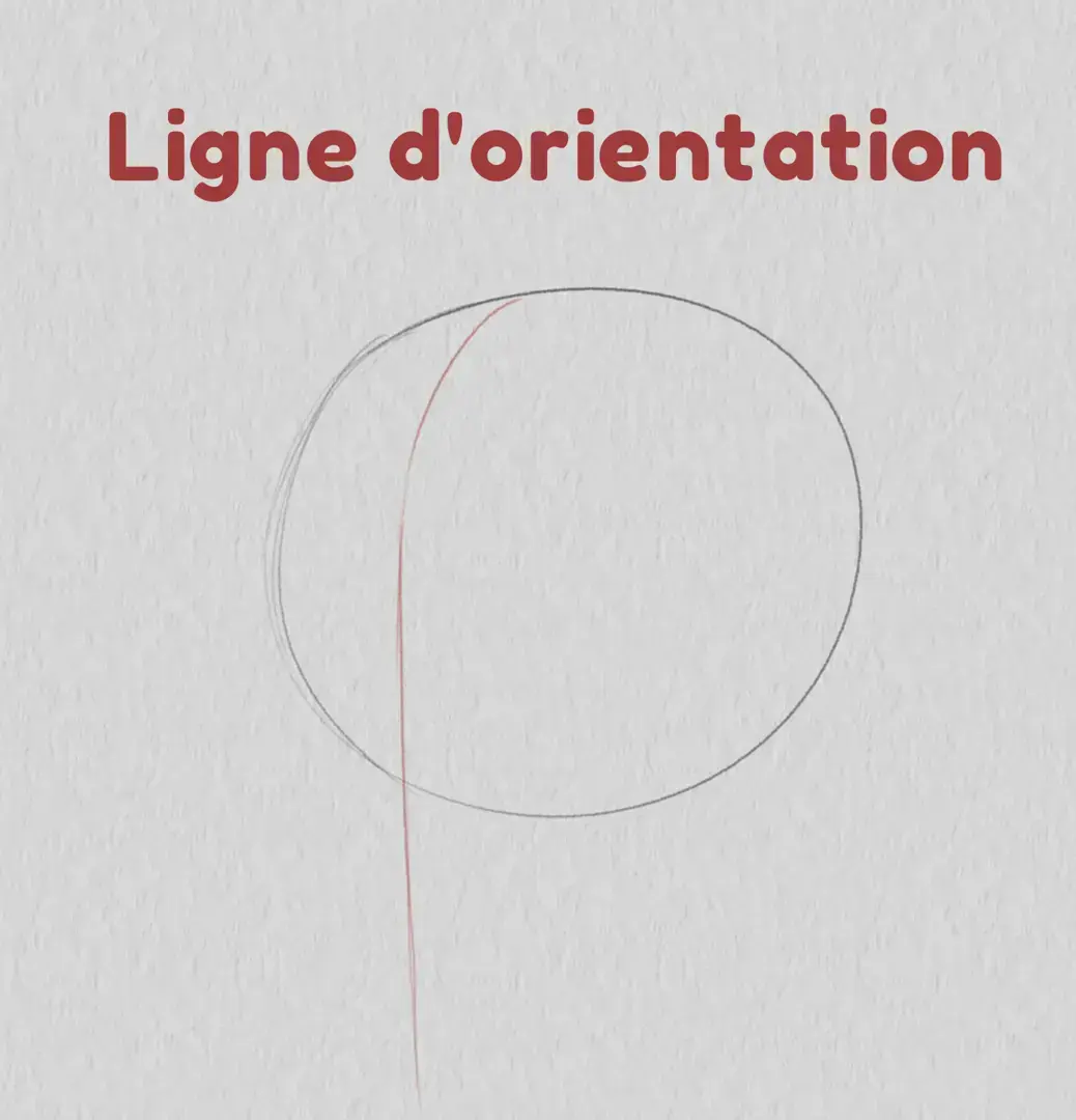 dessiner la ligne d’orientation d’un visage de trois quarts