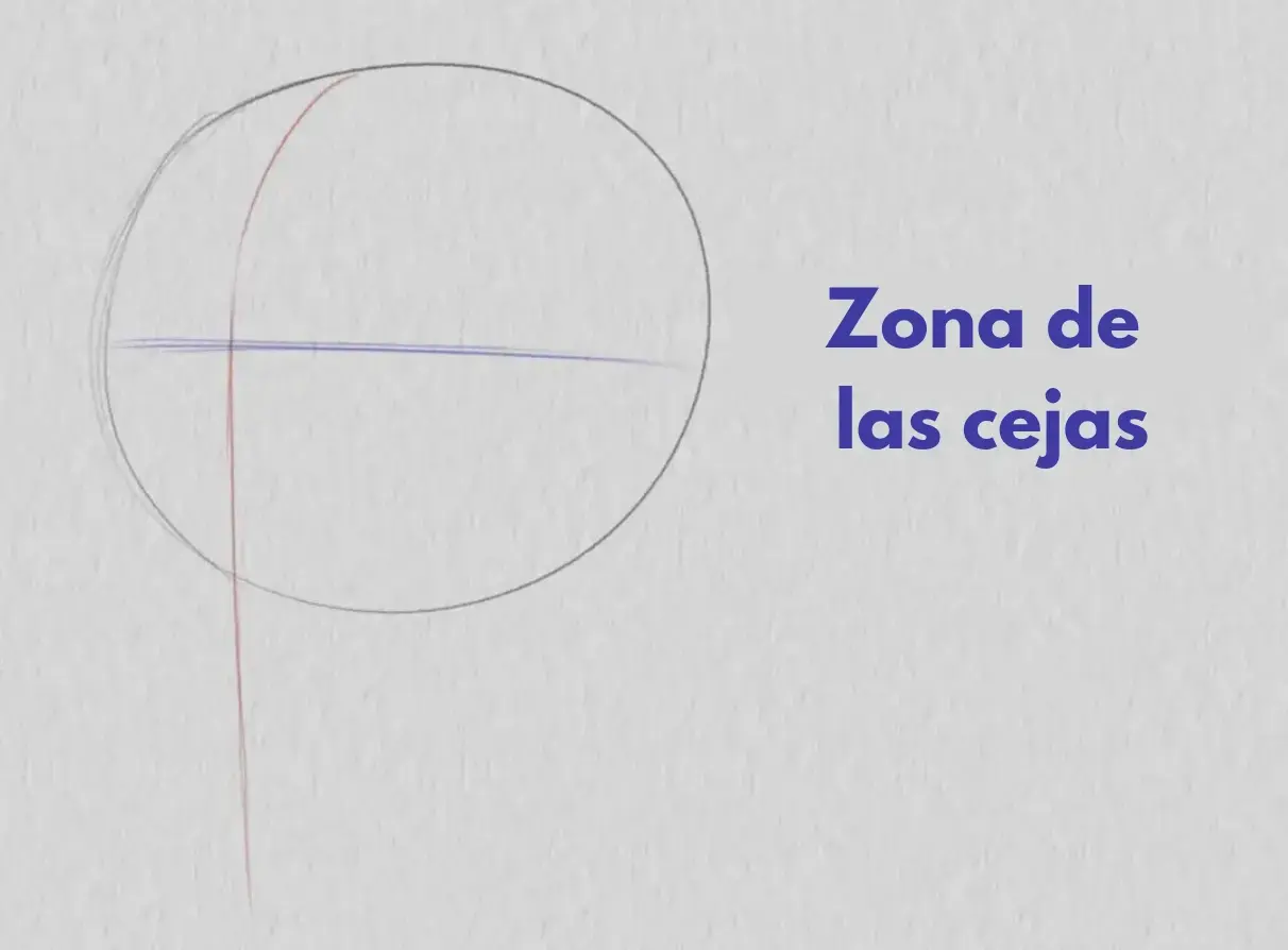 dibujar los arcos de un rostro de tres cuartos