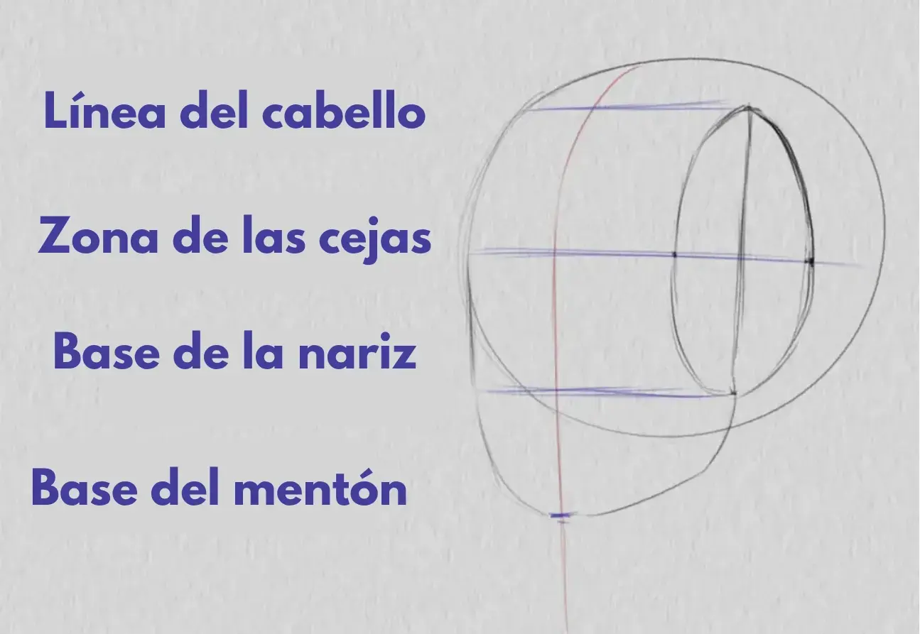 dibujar la base de la barbilla de un rostro de tres cuartos