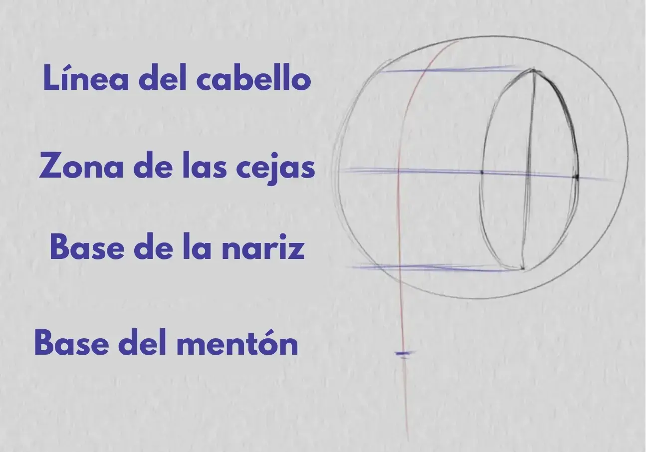 dibujar la base de la nariz de un rostro de tres cuartos