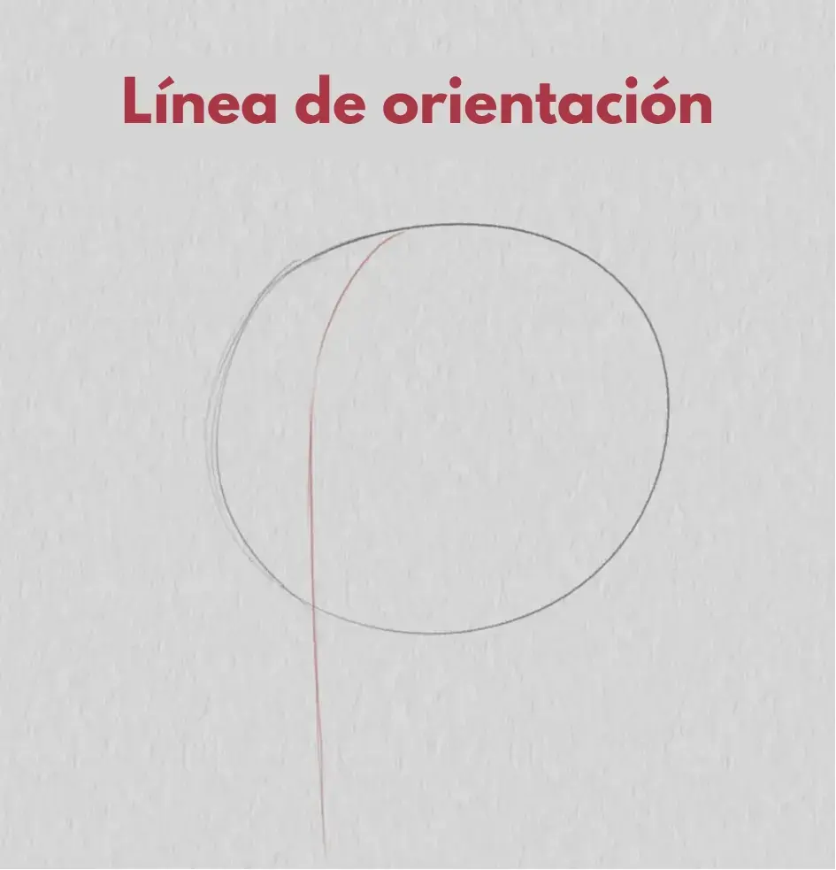 dibujar la línea de orientación de un rostro de tres cuartos