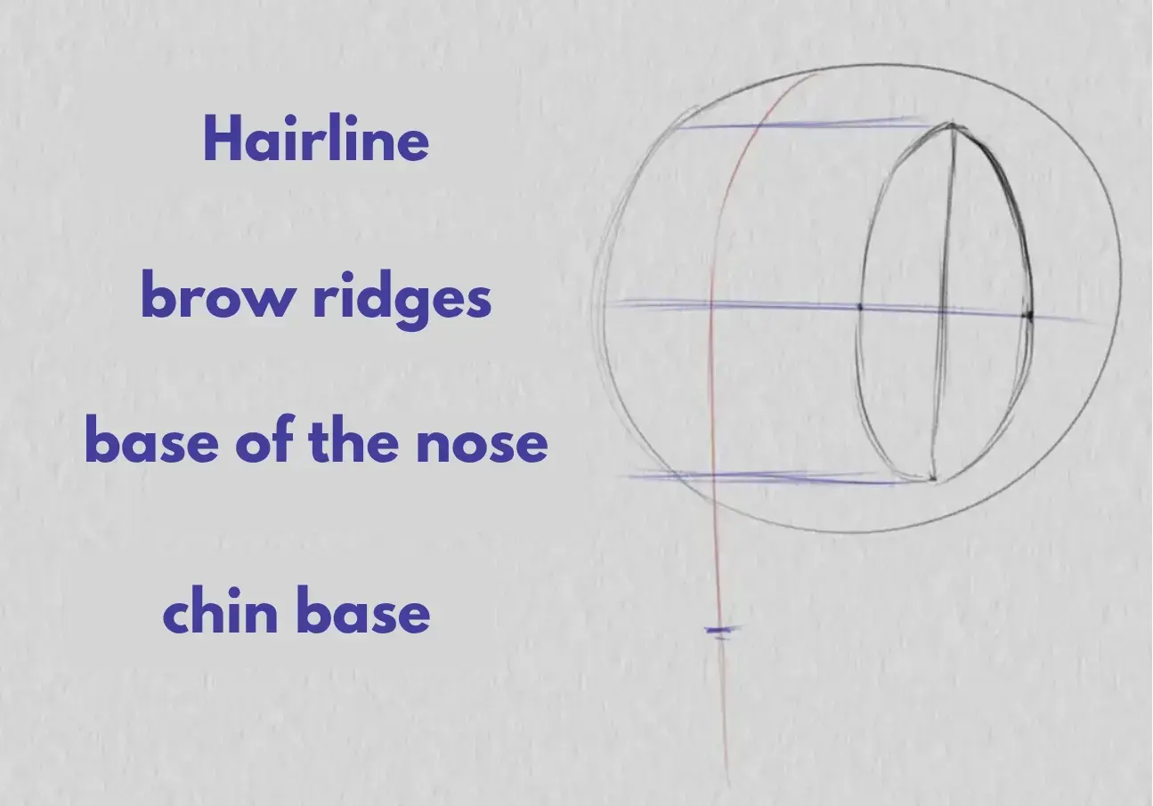 drawing the base of the jaw on a face in three-quarter view