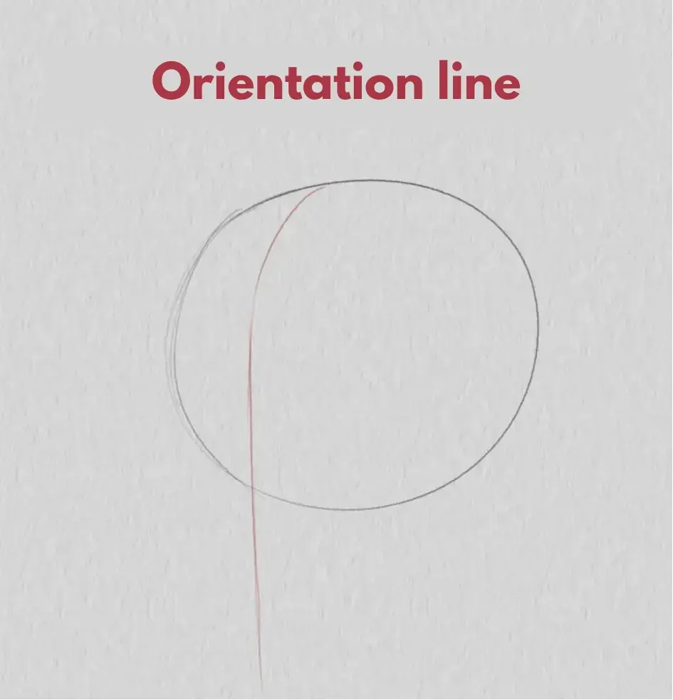 Drawing the guideline of a three-quarter face