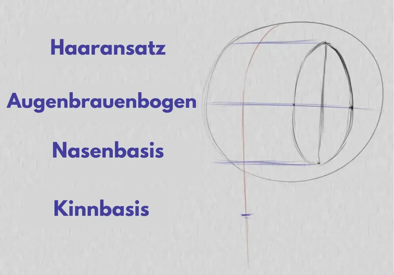 zeichne die Basis der Nase eines Dreiviertel-Gesichts