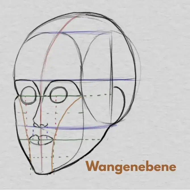 zeichnen das Kinn und die Proportionen des Gesichts