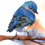 Image Profile Babou
