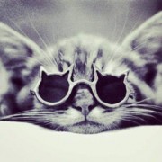 Finou