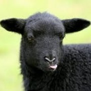 avatar de EgarOne