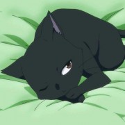 avatar de Alsollau