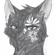 avatar de Lilipuce